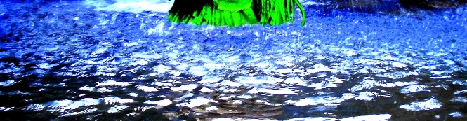 haditacuatica2-cut3-1p