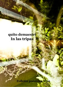 Portada In Las Tripas_pequeña