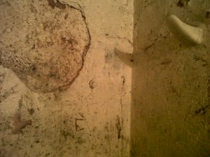 IMG00373-20121021-0435